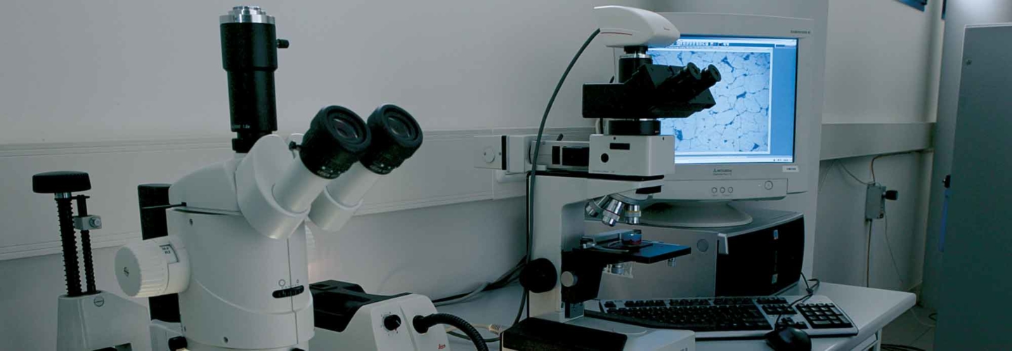 slide-laboratorio-02